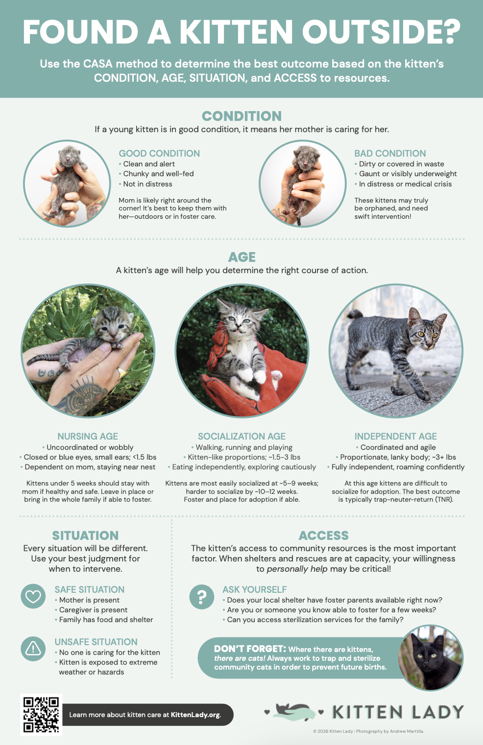 Print Materials — Kitten Lady